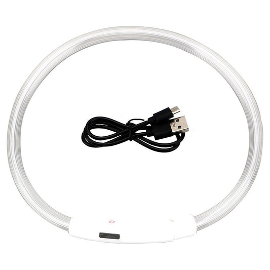 Usb Rechargeable Glow-In-The-Dark Pet Collar With Three Flashing Modes